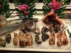-Mr·Fish鱼鲜生海鲜放题(银泰in99店)