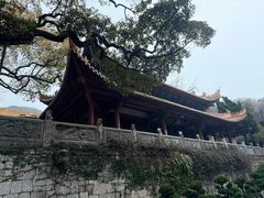 -普陀山风景名胜区-法雨禅寺