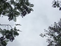 -重庆彩云湖湿地公园