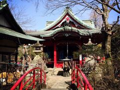 -井之头恩赐公园