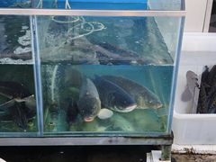 -顺鑫石门市场