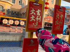 -青岛方特梦幻王国