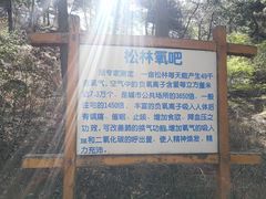 -鲁山国家森林公园