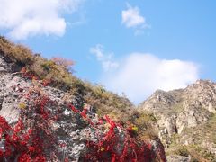 -龙庆峡风景区