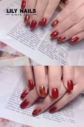 -LILY NAILS美甲美睫