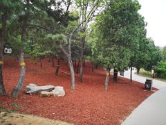 -北京西山国家森林公园