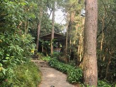-生态园山庄(森林公园店)