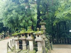 -奈良公园
