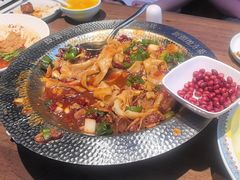 -俭寨大盘鸡·新疆菜·烧烤(博乐店)