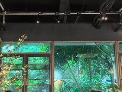 -咖法森林·咖啡  酒吧(天河店)