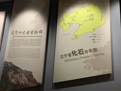 -辽宁古生物博物馆