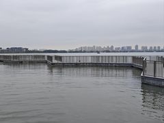 -金鸡湖桃花岛