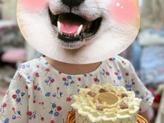 -布歌东京(金融街购物中心店)