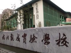-杭州观成实验学校