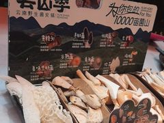 -芸山季·云南山珍菌火锅(人民广场来福士店)