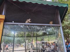 -长白岛森林公园