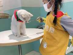 -怪兽屋·羊驼·猫咖·狗咖(俊华广场店)