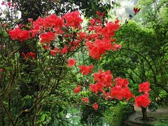 -岳麓山风景名胜区