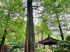 -杭州植物园