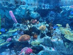 -海合安成都极地海洋公园