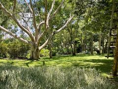 -中国科学院西双版纳热带植物园