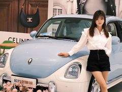 -海南九兴汽车贸易有限公司