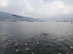 -海埂大坝