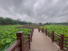 -南宁南湖公园