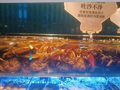 -雍容荟帝王蟹活龙虾展台自助(IFS黑金店)