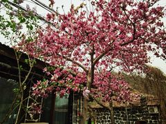 -北京水岸山吧度假村(雁栖镇店)