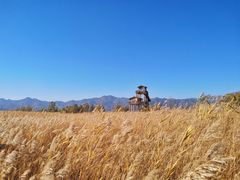 -野鸭湖国家湿地公园