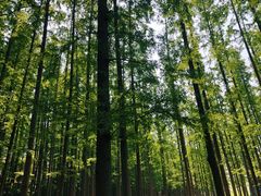 -南京金牛湖风景区