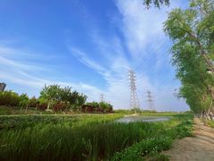 -永定河休闲森林公园