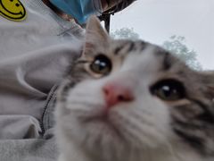 -宠福鑫康馨动物医院·骨科·眼科