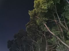 -天喜酒楼饭市·茶市(同德皇宫店)