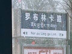 -罗布林卡