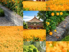 -北海公园
