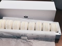 -BLACKSWAN黑天鹅(环球店)