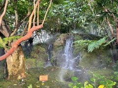 -Chom Cafe and Restaurant