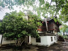 -鲁镇