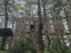 -芦仙山景区-飞越丛林探险乐园