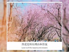 -朝阳公园