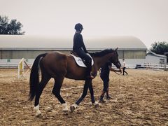 -月河湾马术俱乐部(朝阳店)