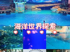 -海合安武汉极地海洋公园