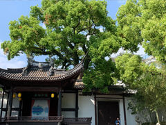 -紫阳古街