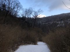 -秦岭风景区