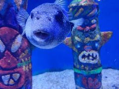 -南昌融创海世界