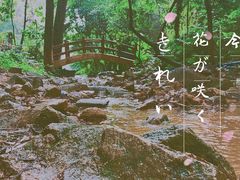 -火炉山森林公园