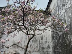 -耦园