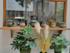 -红辣椒陶氏丝娃娃(南国花锦店)